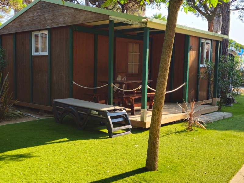 Césped Artificial Eco40 40mm (Rollo 2m x 25m) | CNX