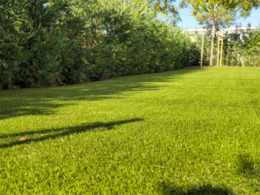 Césped Artificial Low30 30mm (Rollo 2m x 10m) | CNX
