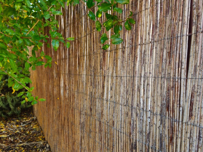 Rollo mimbre natural 60% ocultación 1x5m  | CNX