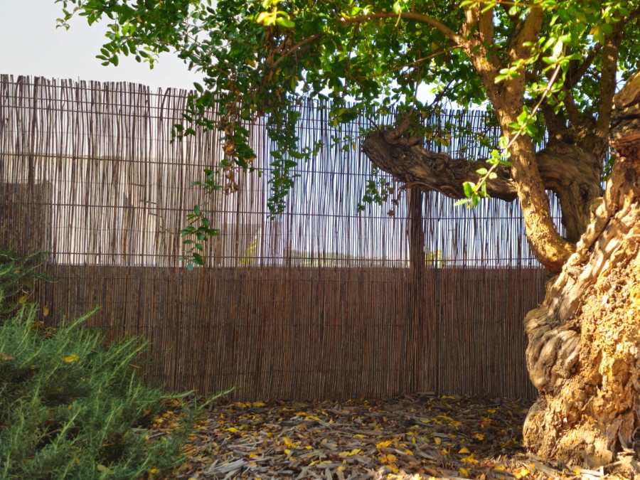 Rollo mimbre natural 60% ocultación 1x5m  | CNX