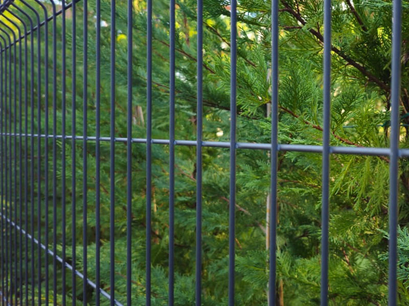 Panel de valla plegada electrosoldada gris antracita - malla 0,8m x 2,5m | CNX