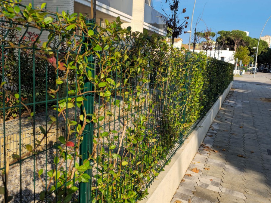 Panel de valla plegada electrosoldada verde musgo - malla 1,5m x 2,5m | CNX
