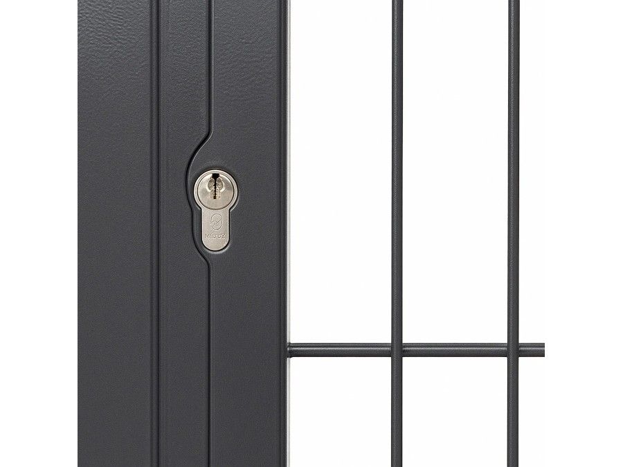 Puerta de valla Hércules 870x1800 mm, gris antracita | CNX